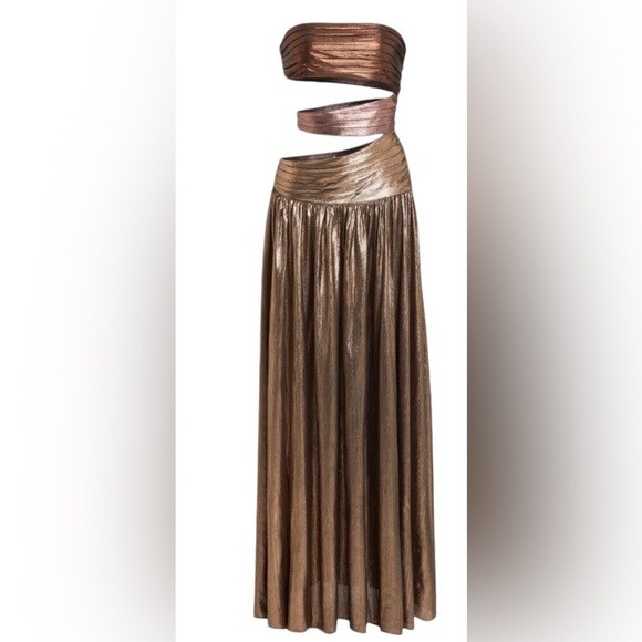 NWT RETROFETE Lia Dress in Brown Ombré Women’s Maxi Size XXS - Picture 5 of 12